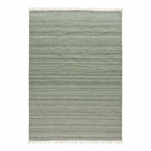 Zelený vonkajší koberec z recyklovaného plastu Universal Liso, 160 x 230 cm