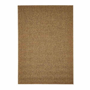 Hnedý vonkajší koberec Floorita Plain, 160 × 230 cm