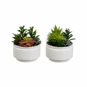 Umelé rastliny v súprave 2 ks (výška  19 cm) Cactus – Casa Selección