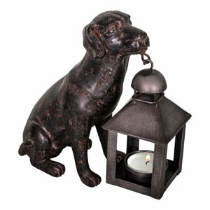 Polyresinový lampáš (výška  19 cm) Dog – Antic Line