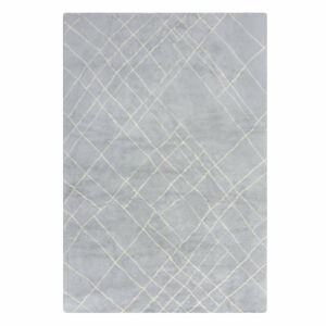 Svetlosivý prateľný koberec 160x230 cm Alisha – Flair Rugs
