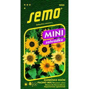 SEMO Slnečnica ročná PACINO mix mini