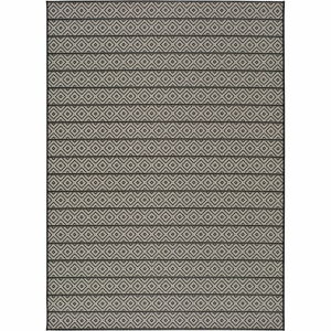 Tmavosivý vonkajší koberec Universal Tokio Stripe, 135 x 190 cm