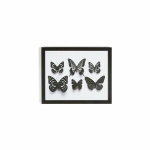 Obraz v ráme Graham & Brown Botanical Butterfly, 50 × 40 cm
