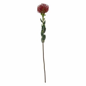 Umelý kvet (výška  73 cm) Protea – PT LIVING