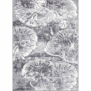 Sivý koberec 160x220 cm Avanti – FD