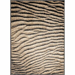 Hnedý koberec 240x330 cm Avanti – FD